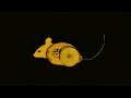 Tomcat Disposables INSTRUMENTAL