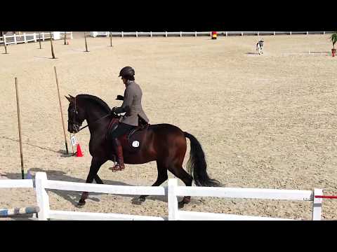 Belgium Internationals Stil Trail 2017