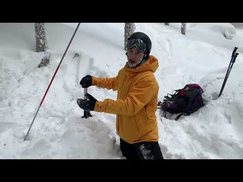 Avalanche Companion Rescue