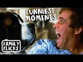 The Funniest Moments From Beethoven 1992 Family Flicks