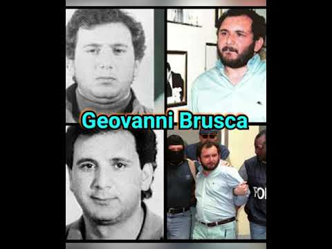 Los 5 sicarios mas letales y profilificos del mundo