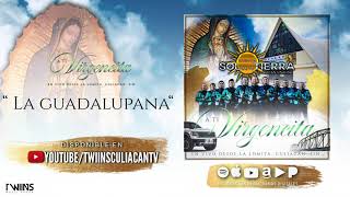 La Guadalupana -  Mariachi Sol De Mi Tierra  - A Ti Virgencita