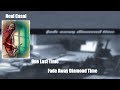 Neal Casal - One Last Time (Lyrics)