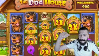 DOG HOUSE ISI ARATA COLTII CU O SPECIALA FARMATA🔴BIG WIN 🔴 LIVE ZILNIC DE LA 21:30 PE CANAL🔴