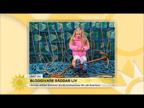Arvids 3-åriga dotter behöver nytt blod var tredje vecka: ”Då går hon in och t… - Nyhetsmorgon (TV4)