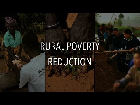 FAO Policy Series: Rural Poverty Reduction