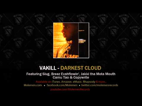 Vakill Ft Slug of Atmosphere - Fallen  - Panik On The beat - Molemen Records