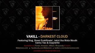 Vakill Ft Slug of Atmosphere - Fallen  - Panik On The beat - Molemen Records
