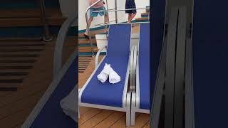 Carnival Cruise￼: Towel Animals. Comment your favorite❤️ #cruiseship #travelvlog #comment #travel