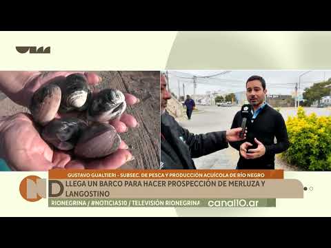 Llega un barco para hacer la prospección de merluza y langostino