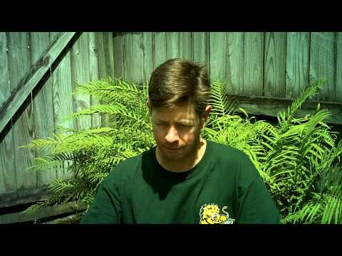 Louisiana Beer Reviews: Dos Equis Lager Especial (can version)