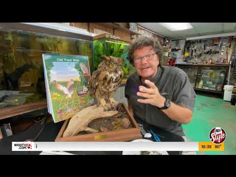 Owl Pellet Detective: What's Hidden in the Scat?