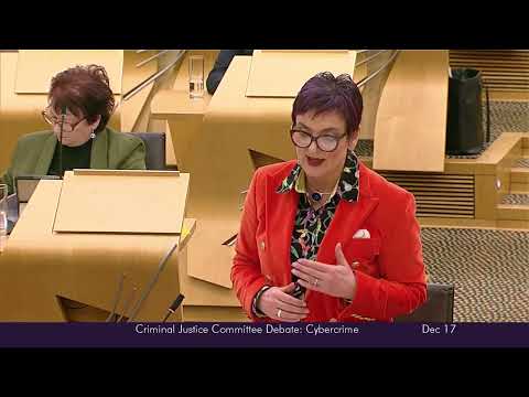 Criminal Justice Committee Debate: Cybercrime - 17 December 2025