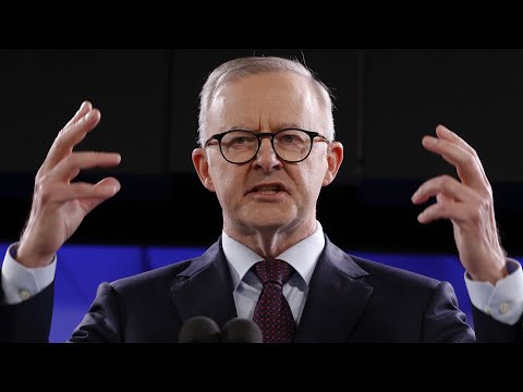 ‘Lies are what they are’: Bishop urges Coalition to expose the government