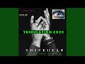Truibulation 2020