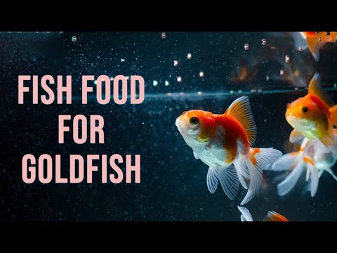 5 Best Fish Food for Goldfish | Best Goldfish Food