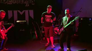 De Weidetulpjes (Heideroosjes Tribute) - Nothing&#39;s Wrong