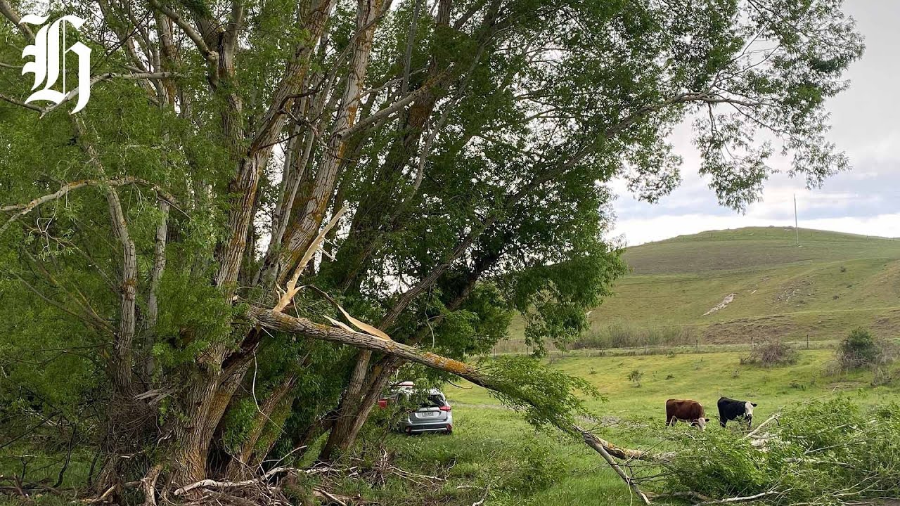 Canterbury farmer on wild weather