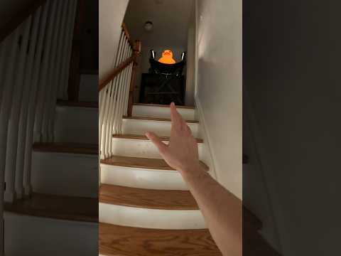 I MESSED UP WITH THE DUCK CARTEL!! 🐥 #viral #shorts #shortsvideo #funny #fypシ