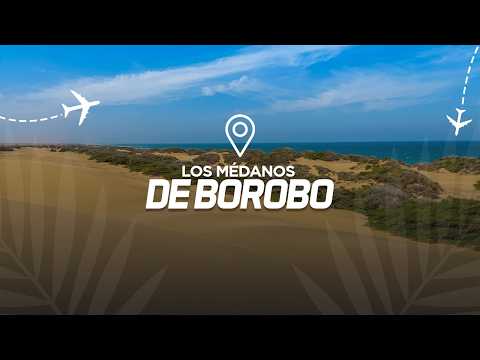 Médanos de Borobo: El destino exótico en Falcón donde el desierto se encuentra con el Caribe