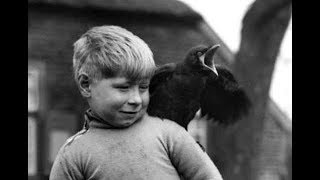 Heintje - Kommt ein vogel geflogen ( 1968 )