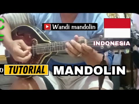 Tutorial mandolin