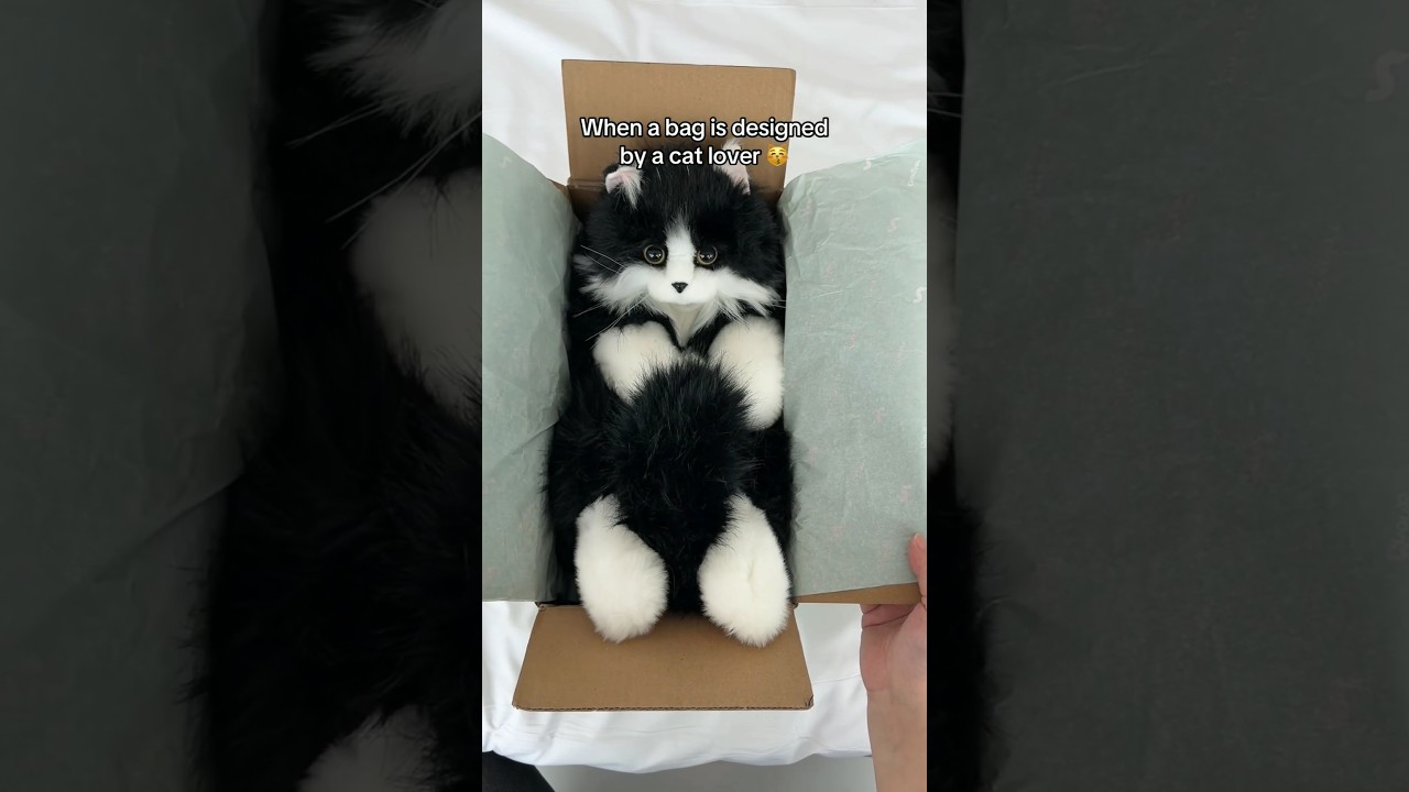 Realistic Cat Plush 🐱 | Handmade Companion Pet Gift Idea!