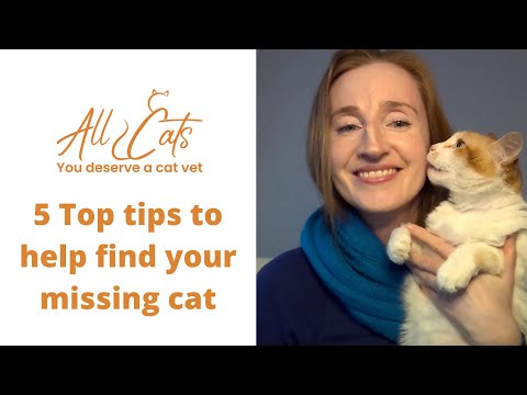 Top tips to help find your missing cat