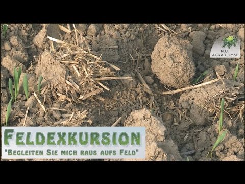 26. Feldexkursion: Herbizide auf trockenen Boden spritzen? - NU Agrar; 07.10.2015