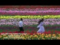 Bhavaren Khilaya Phool Phool Ko Prem Rog Bhushan Jhankar