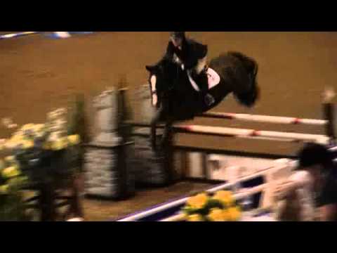 Video of ZENITH B. ridden by COURTNEY CALCAGNINI from ShowNet!