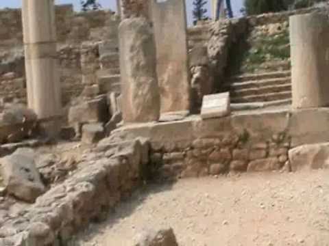 Apollo Hylates Sanctuary/Temple Trip, Cy