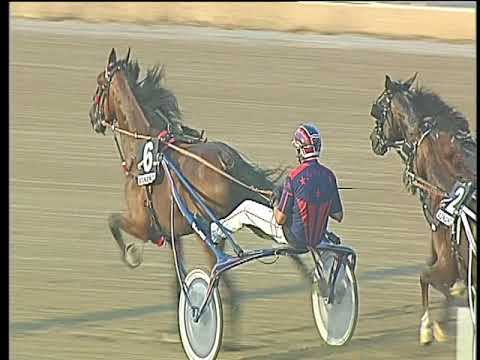 Trotto 01/09/2017 - 6ª corsa