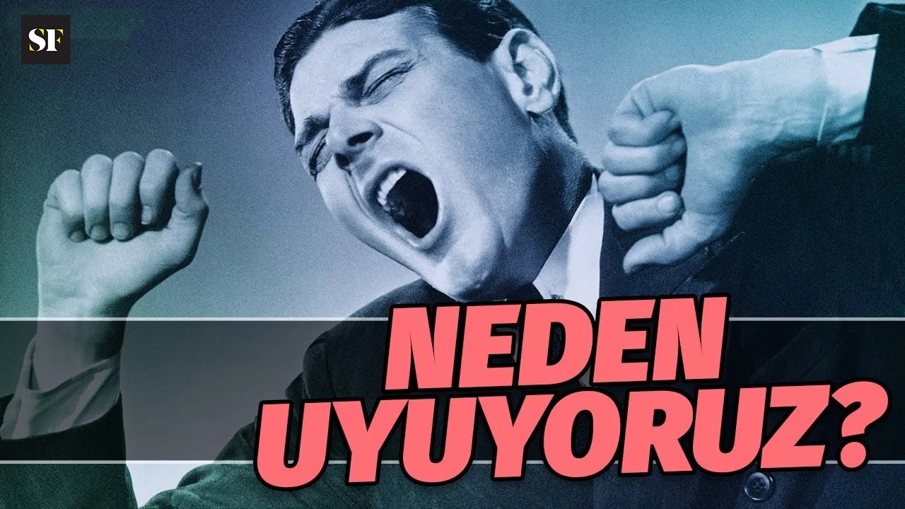 Neden Uyuyoruz? | BBC Science Focus Türkiye