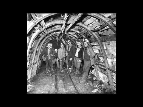 The Miners - Bimber