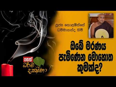 Darma Dakshina 2019.11.14 - Kolabisse Dhammananda Himi