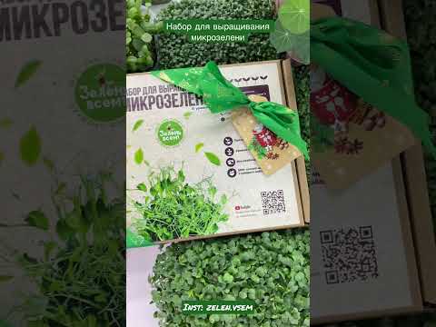 Набор для выращивания микрозелени на 10+1 посадок 🌱