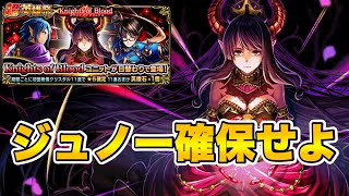 【グラサマ】《まさかの復刻》ジュノーを絶対に確保せよ！ナイツオブブラッド(KOB)日替わりガチャ徹底解説＃544【Grand Summoners】
