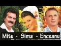 COLAJ MUZICA POPULARA 2017 Petrica Mitu Stoian Enceanu Steliana Sima