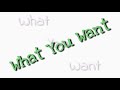 What You Want WhatsApp Status
