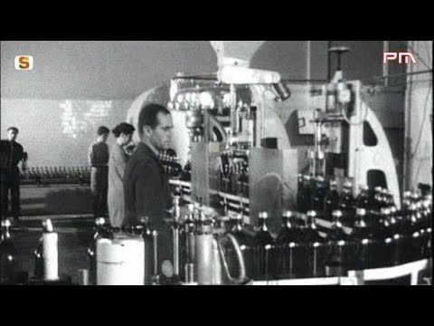 Terralba 1968 - La Cantina Vitivinicola