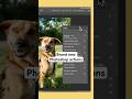 Brand New Photoshop Actions