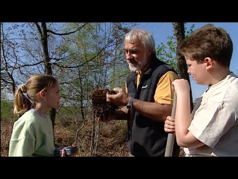 Trésors de la forêt d'Argonne