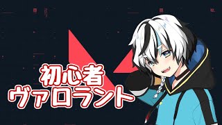 第二回姫プVALORANT【さらり３、くまりす３、まっぽ３】