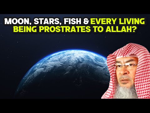 The moon, the stars, the fish, the beasts, everything prostrates to Allah