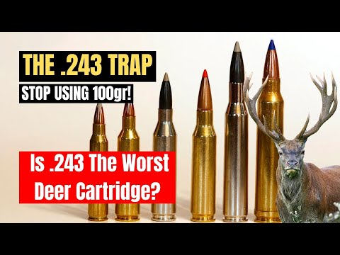 243 Winchester Hornady Superformance SST Ballistics Gel Ammo Test