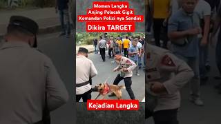 Download lagu Viral Komandan Polisi kok Bisa di Gigit Anjing nya Sendiri mp3