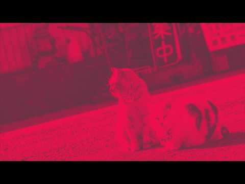 🎇 Fausto's SoundClub #15 - PODCAST by SOUNDFAUSTO 🎇