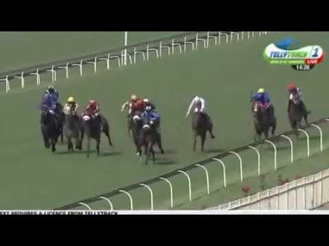 musta be a racehorse