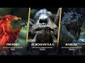 Magical Creatures Ranked By How Dangerous They Are Harry Potter